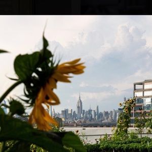 Meet your Posher, Jodie